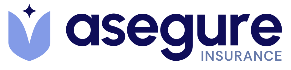 Asegure ERP
